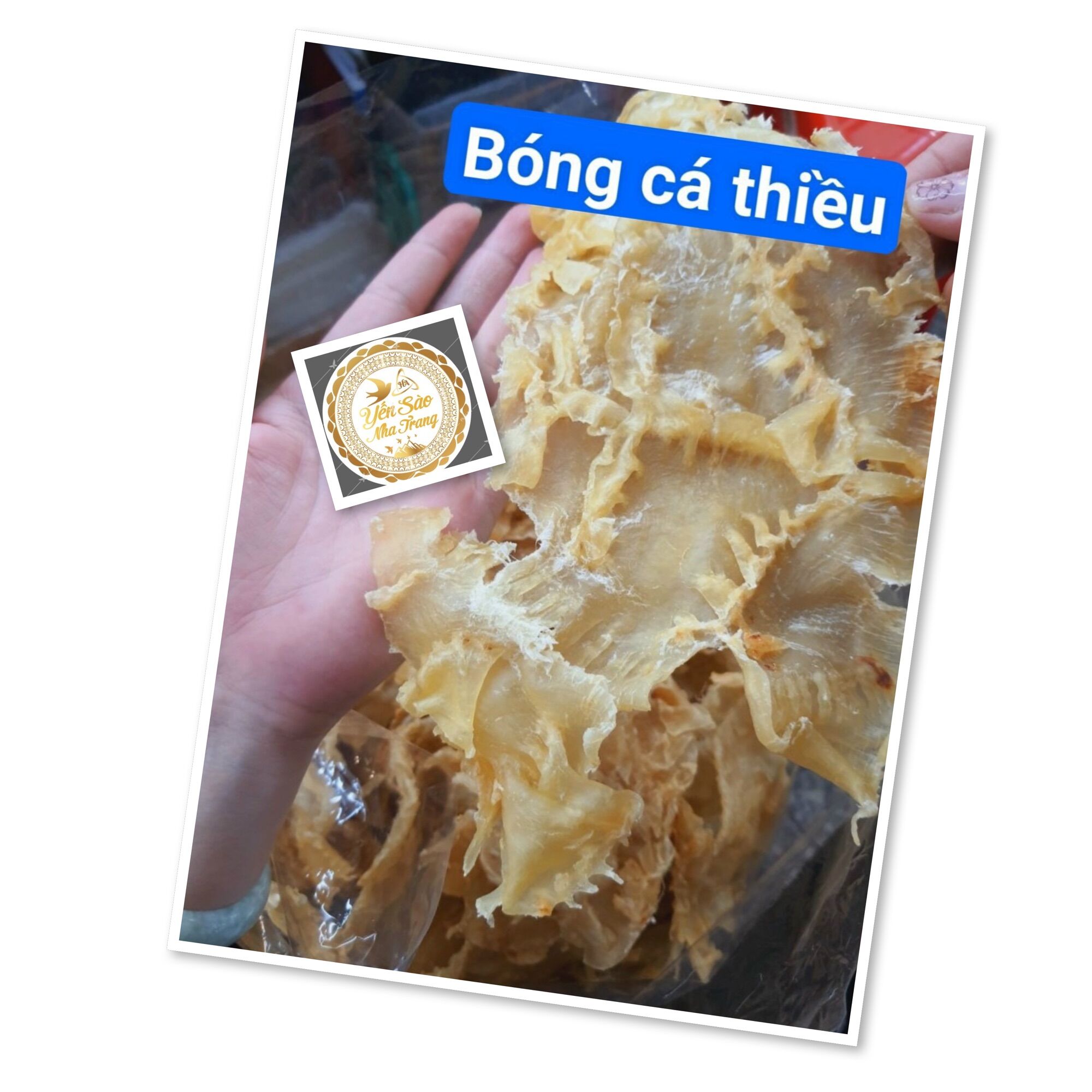 100g bong bóng cá thiều