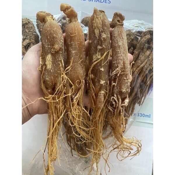 4 củ nhân sâm hồng sâm Hàn Quốc