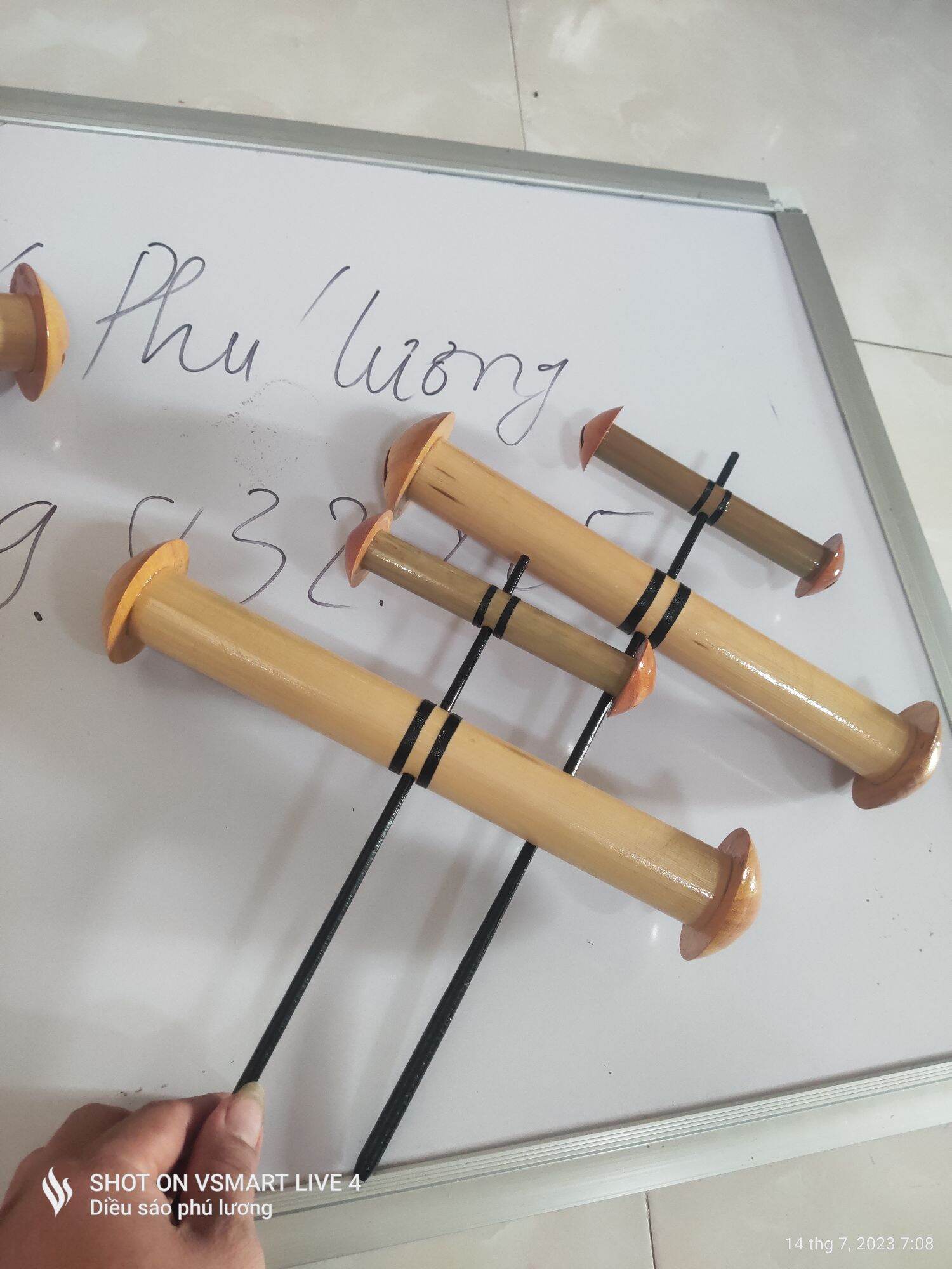 Sáo diều còng còi d35