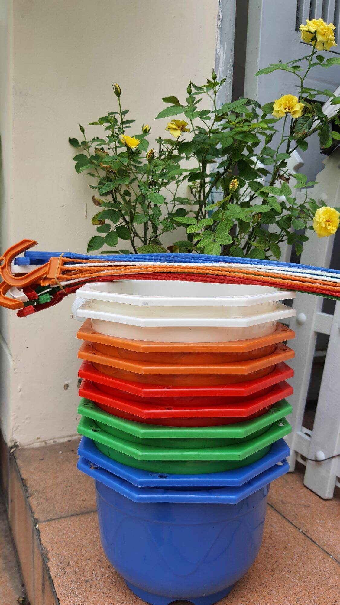 Combo 10 chậu treo tròn kèm móc treo đường kính 20cm