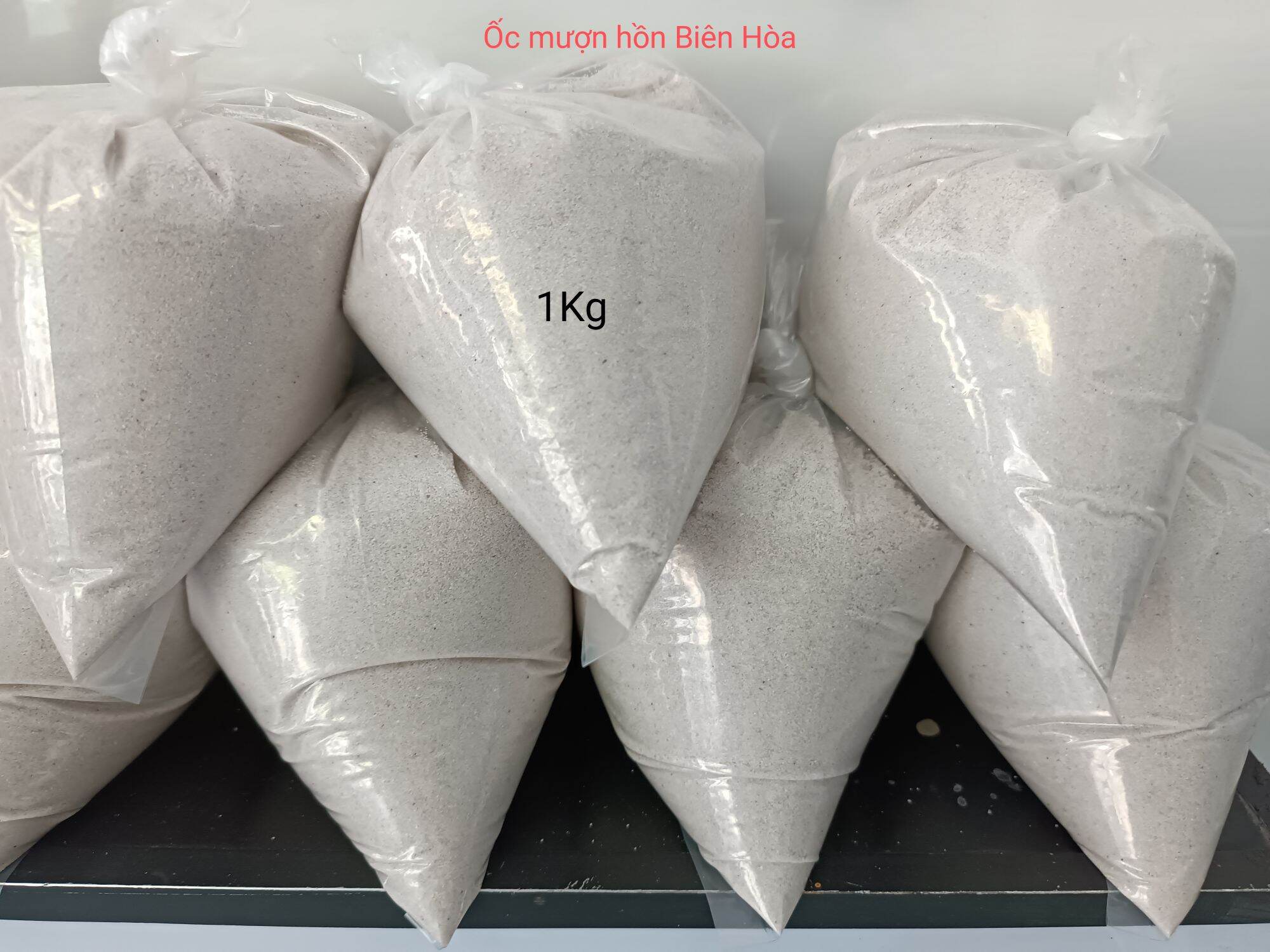1kg cát biển trắng lót nền hồ ốc cảnh.Ốc mượn hồn Biên Hòa