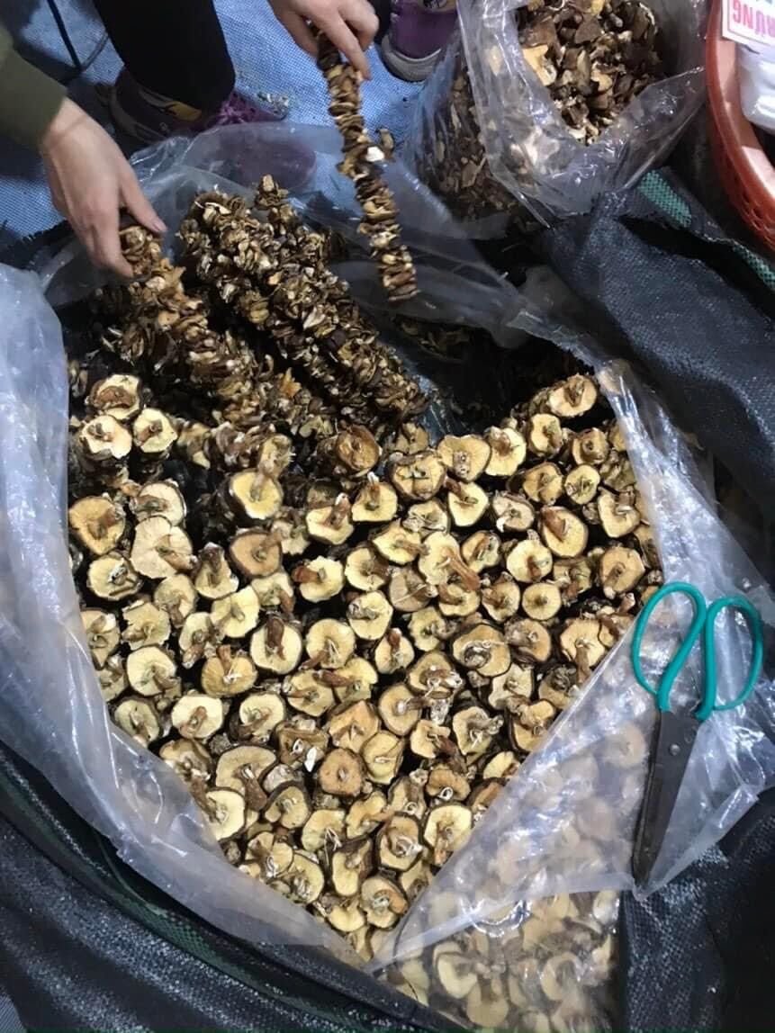 Nấm Hương Rừng 1kg
