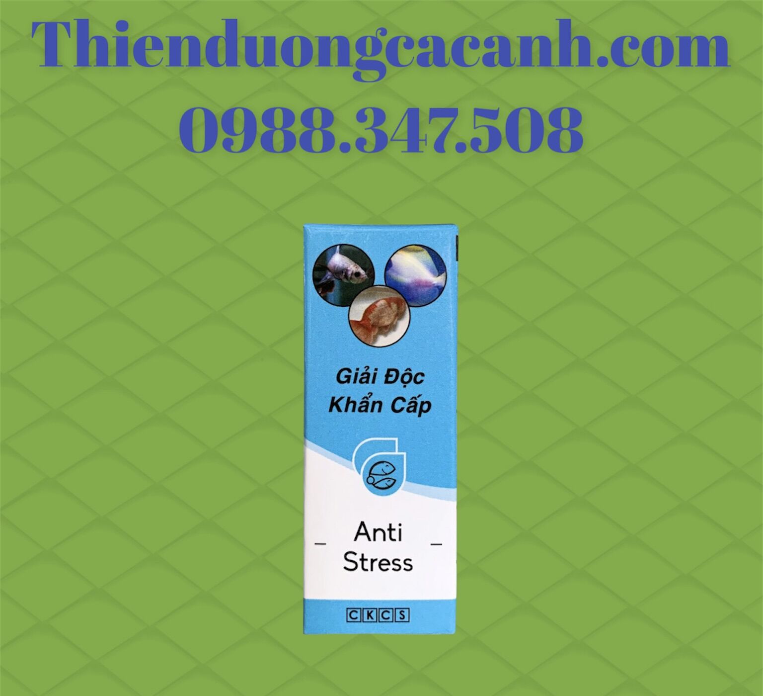 Anti Stress Cho Cá Cảnh
