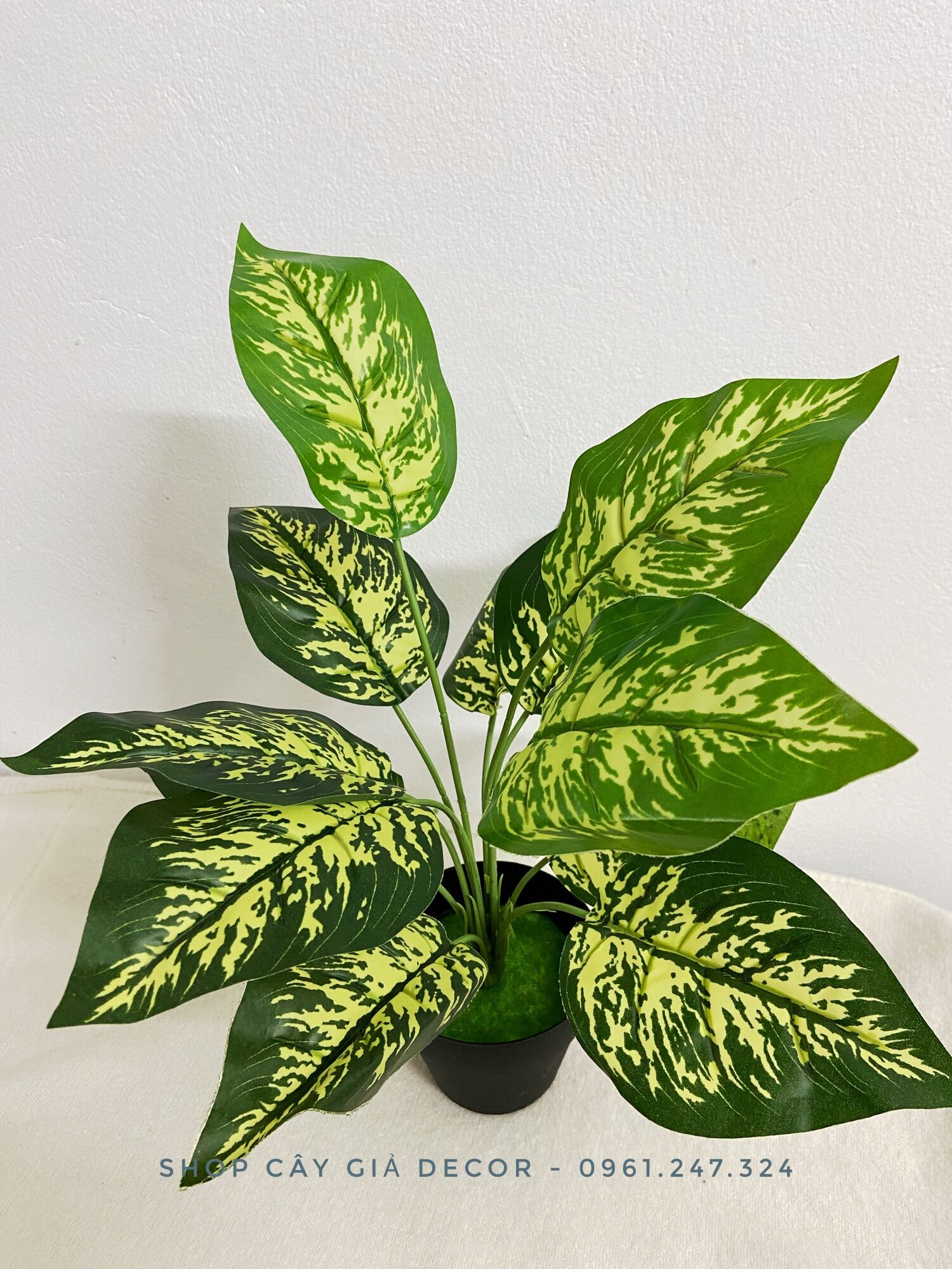 Cây giả - cây trầu bà đốm 40cm 12 lá