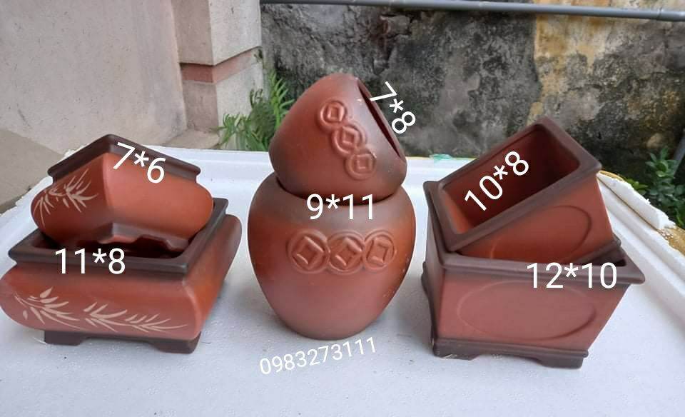 combo 6 chậu bonsai, chậu trồng sen đá