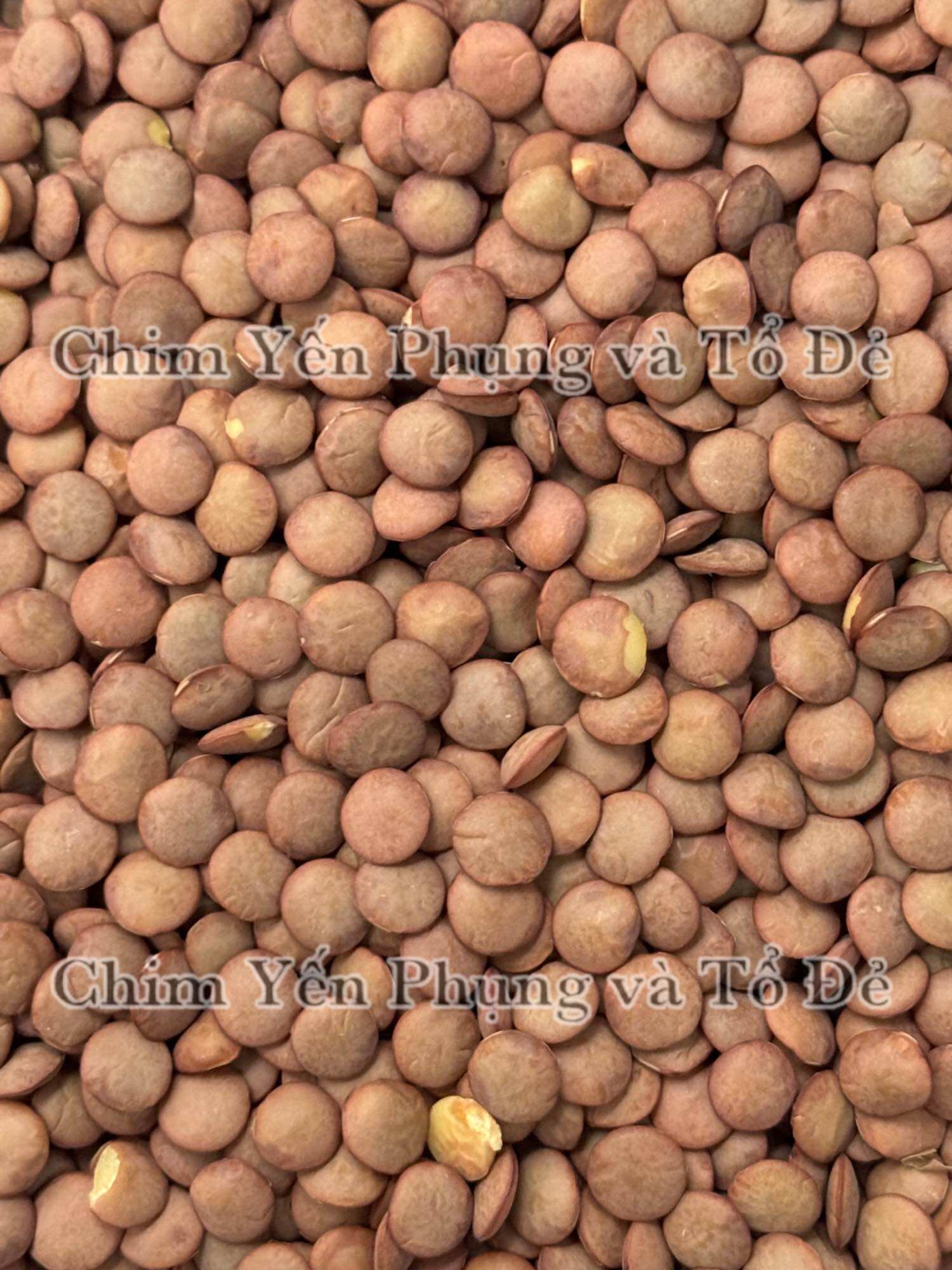 1kg đậu lăng xanh (green lentils) - xuất xứ: Canada 🇨🇦