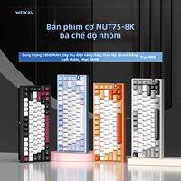 WEIKAV | Bàn Phím Cơ Gaming Không Dây WEIKAV Nut75 - Vỏ Nhôm CNC Nguyên Khối, Màu Bạc Băng (Frost Silver)