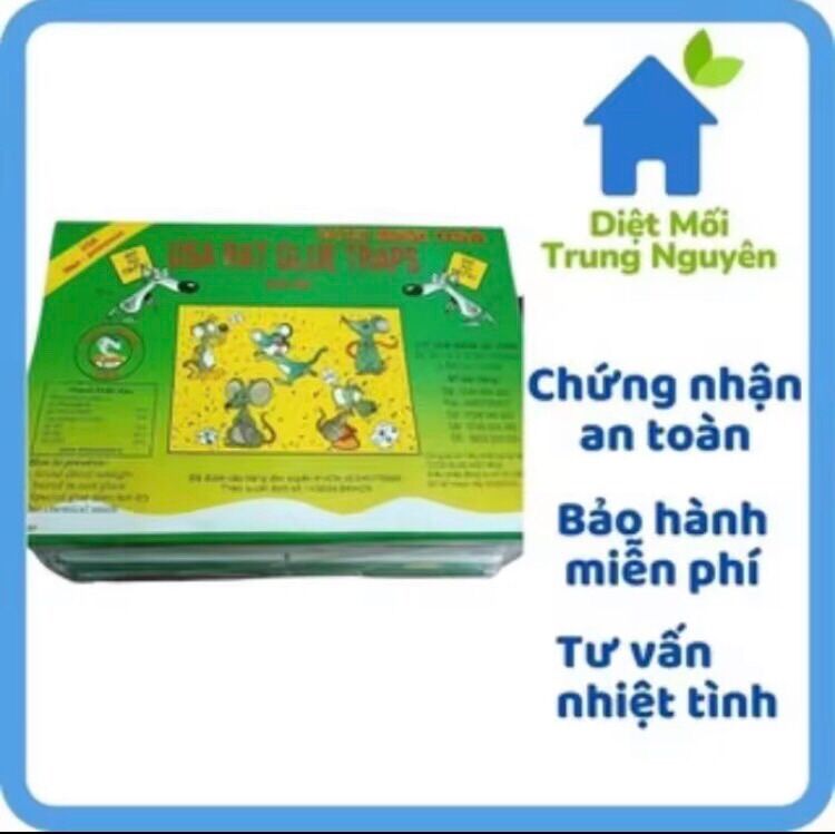 Keo dính chuột siêu dính Miếng bẫy chuột