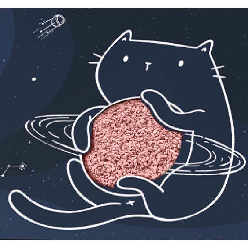Thùng 6 hộp Cát đậu ASTRO CAT