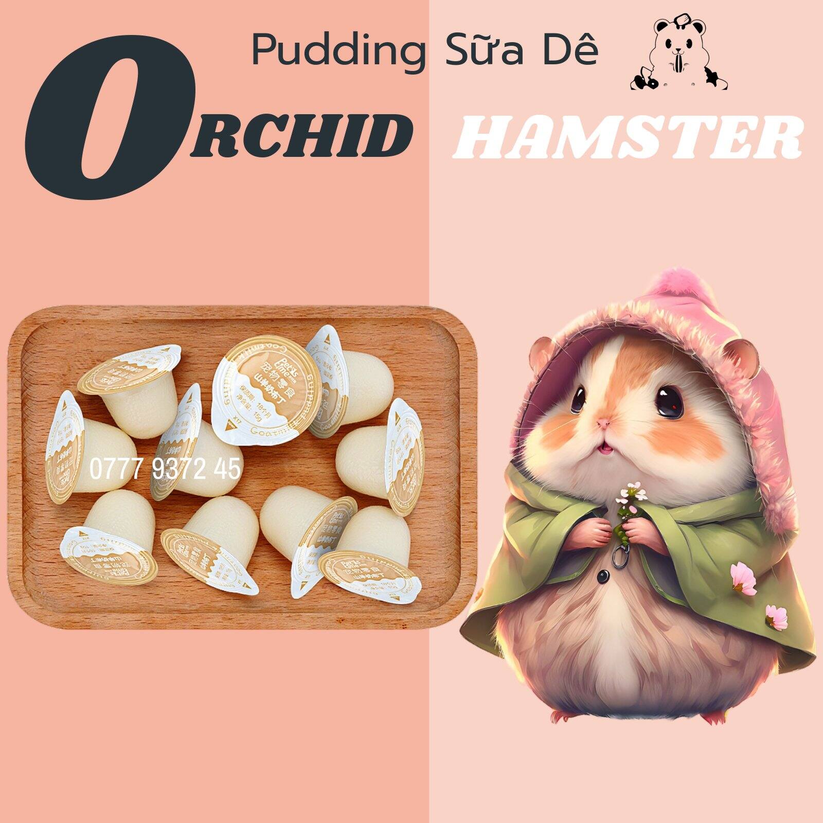 Pudding Thạch Sữa Dê Bổ Sung Canxi ,Lợi Khuẩn Tiêu Hóa Cho Hamster 1 Viên