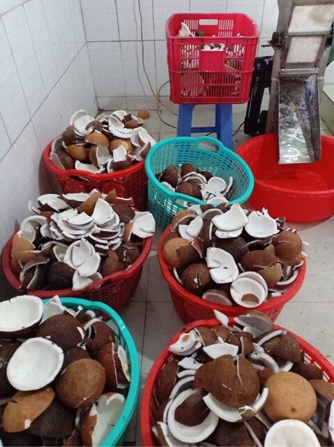 Dầu Dừa Bến Tre Nhà Làm 500ml
