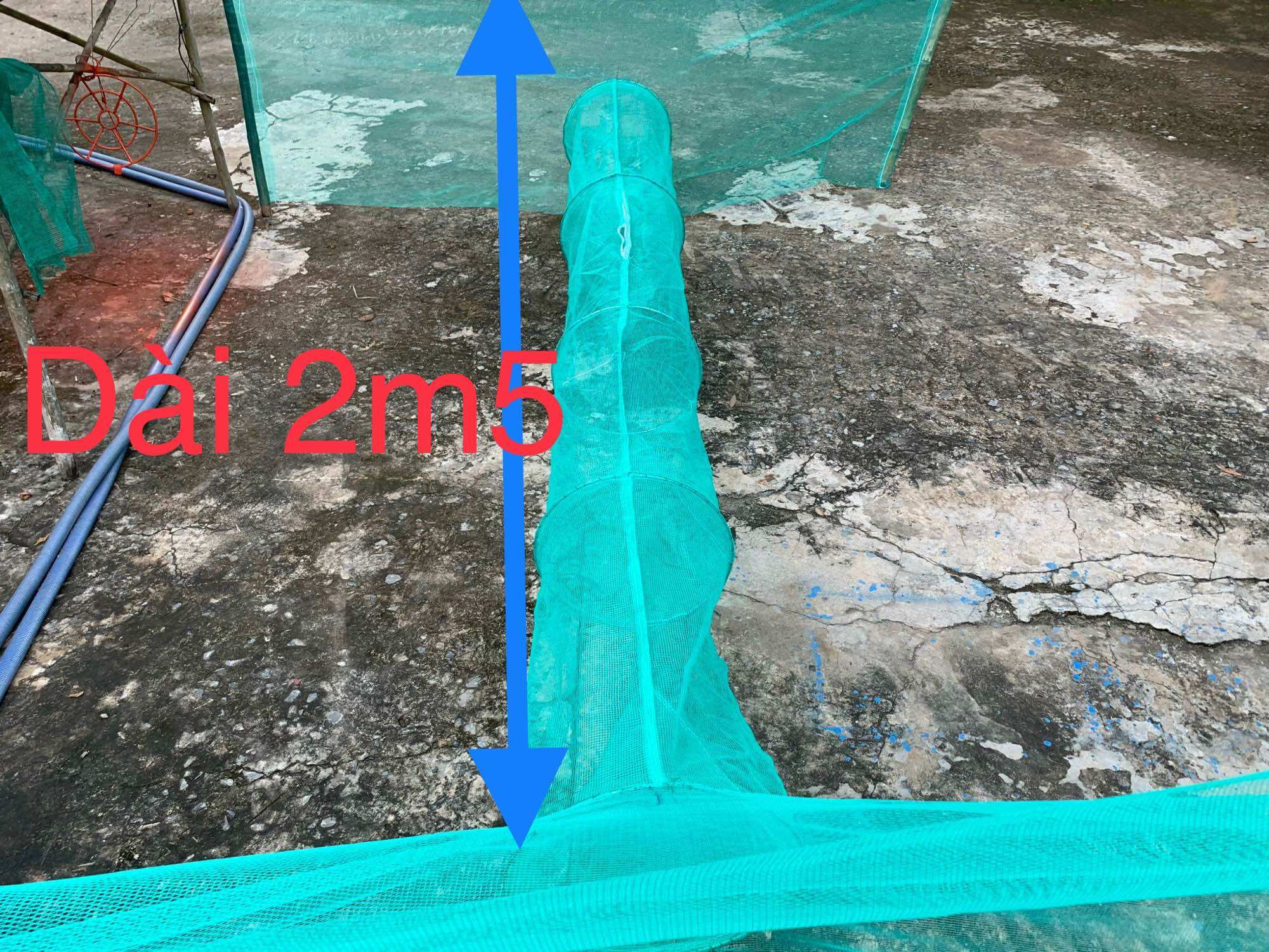 Dớn chặn sông bắt cá (2 ĐẦU CAO 3 TẤT CÓ LỖ THỞ)bắt được cá lươn ếch