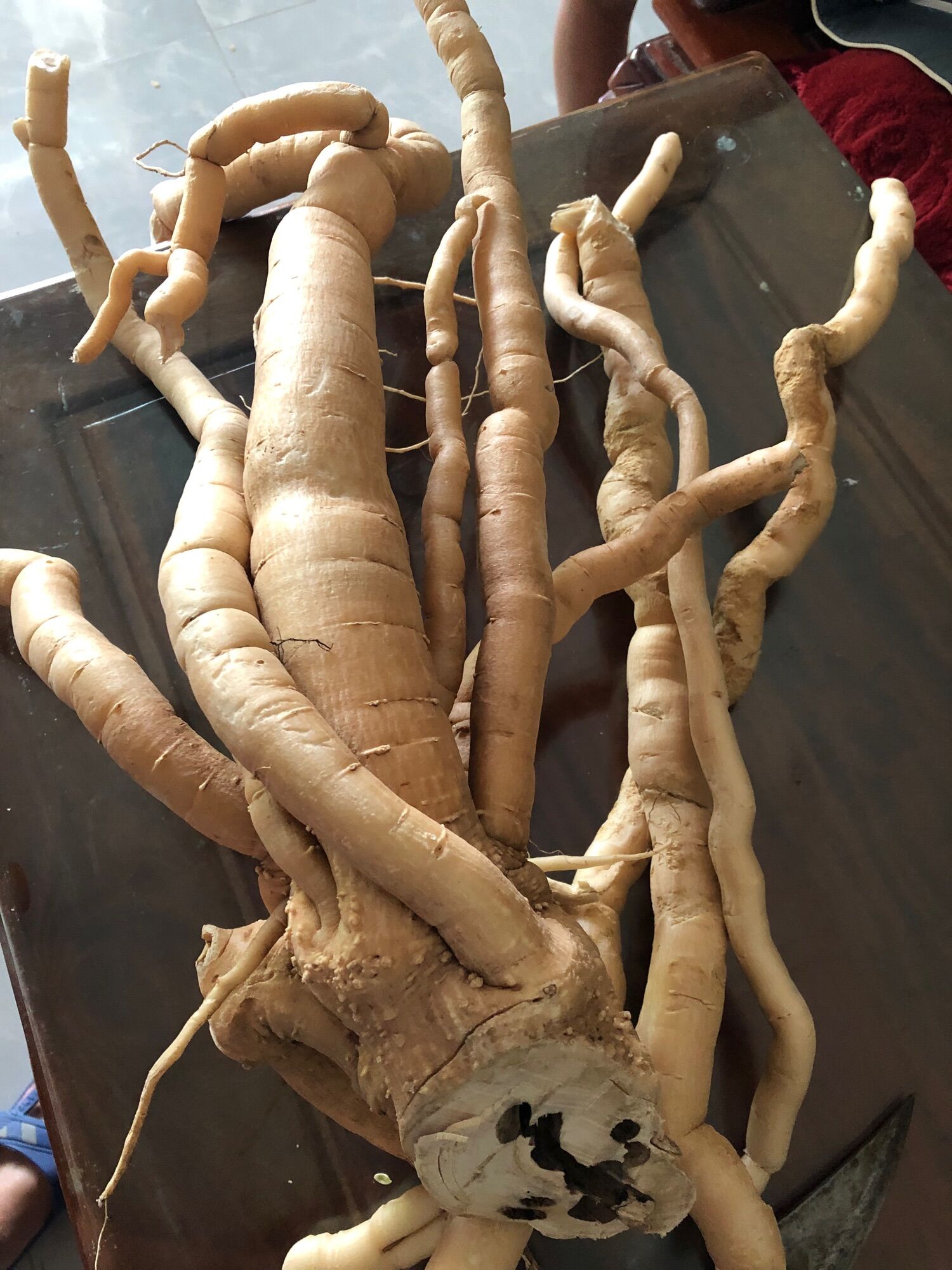 Sâm đất núi đá (200k/3kg)