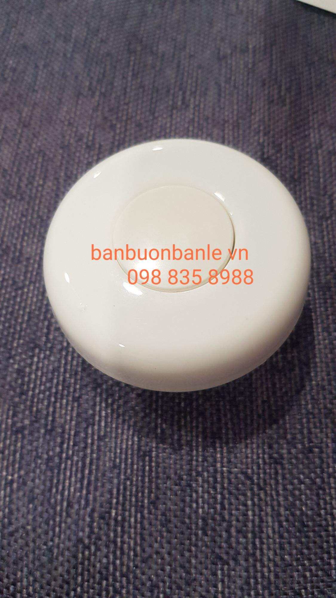 Nút ấn phích nước 1040 TS  Rạng Đông