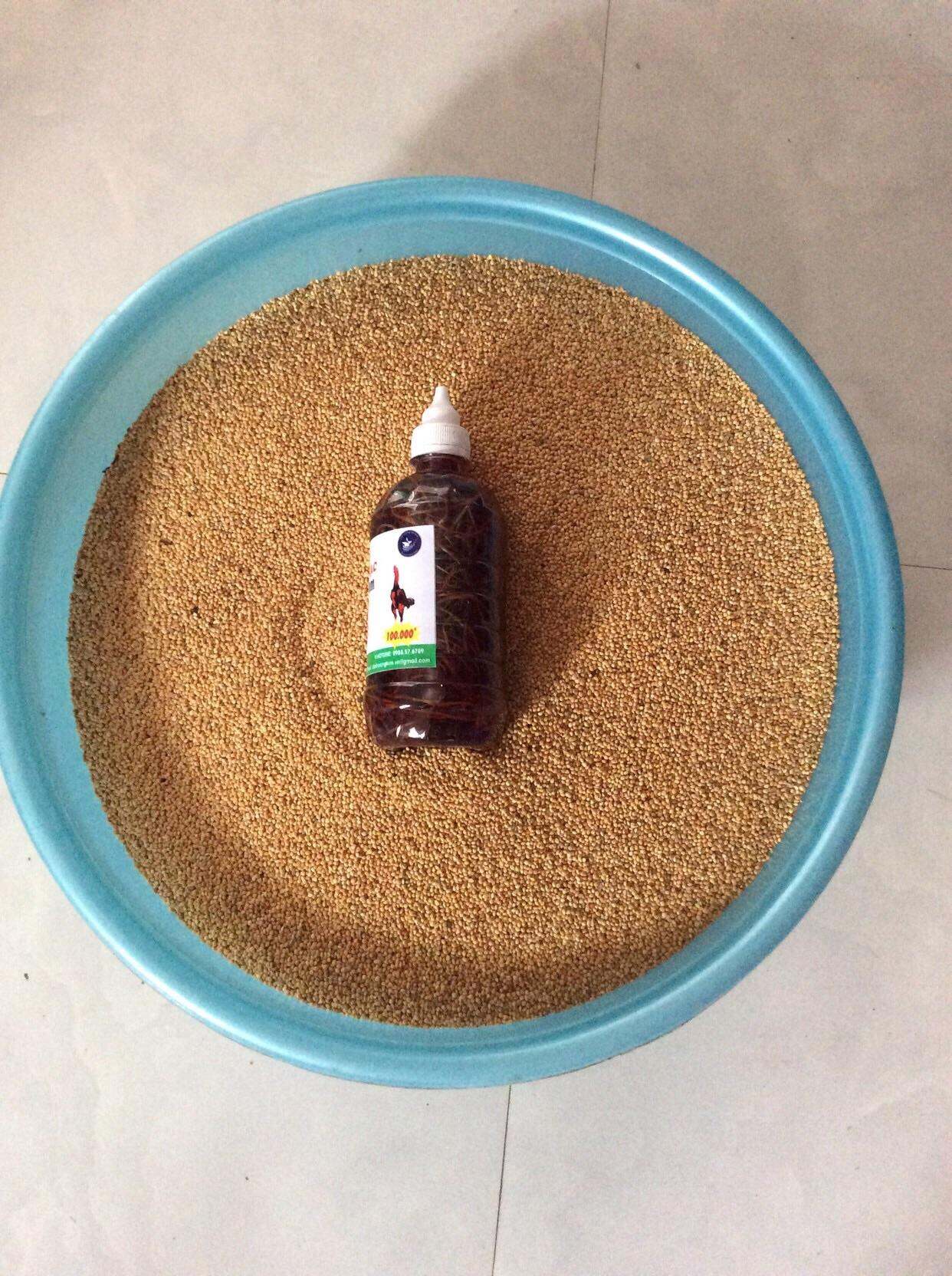 thóc lúa 1kg cho chim cảnh gà cảnh