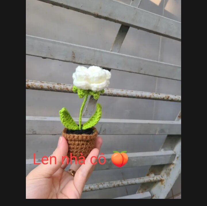 Hoa Hồng Len Handmade