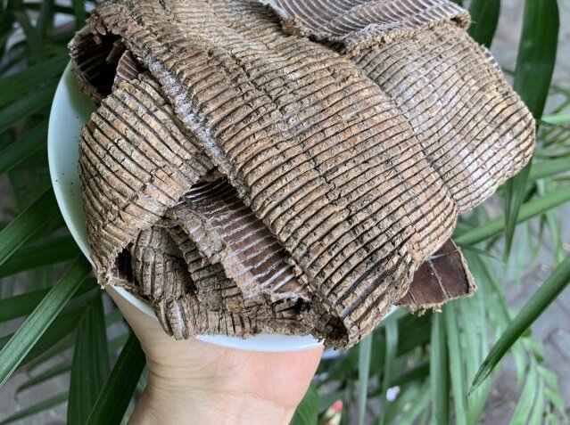 100GR Đỗ Trọng Hàng Đẹp