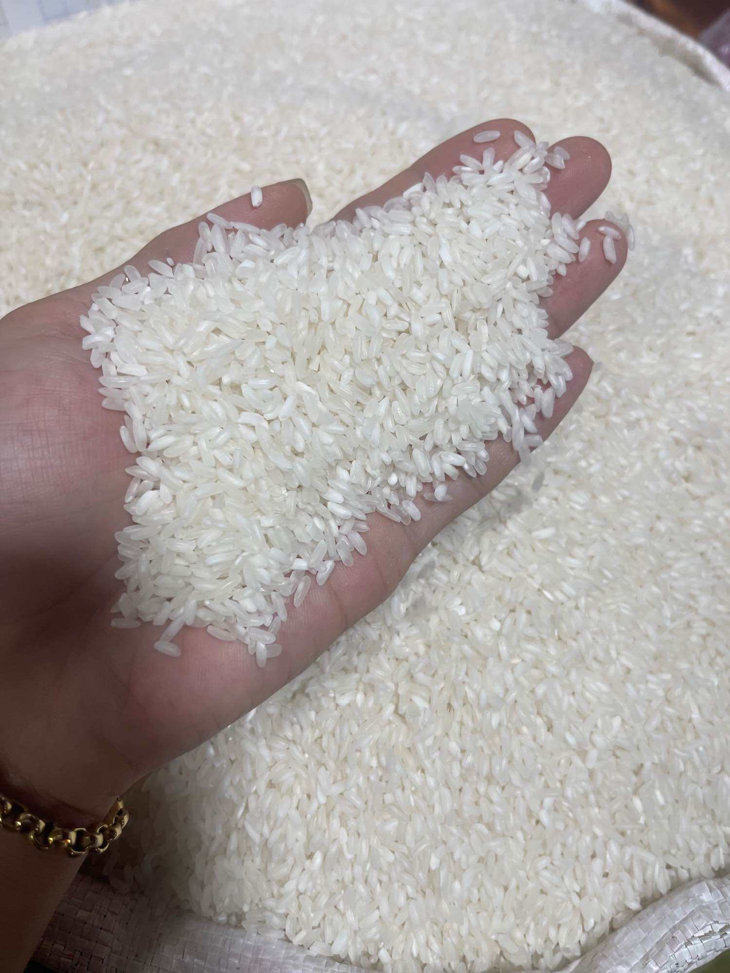 Gạo Tài Nguyên Chợ Đào nở mềm cơm  túi 5kg