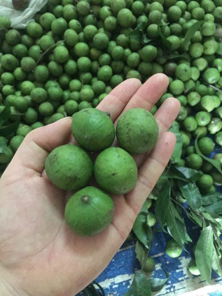 3kg sấu tươi hà nội