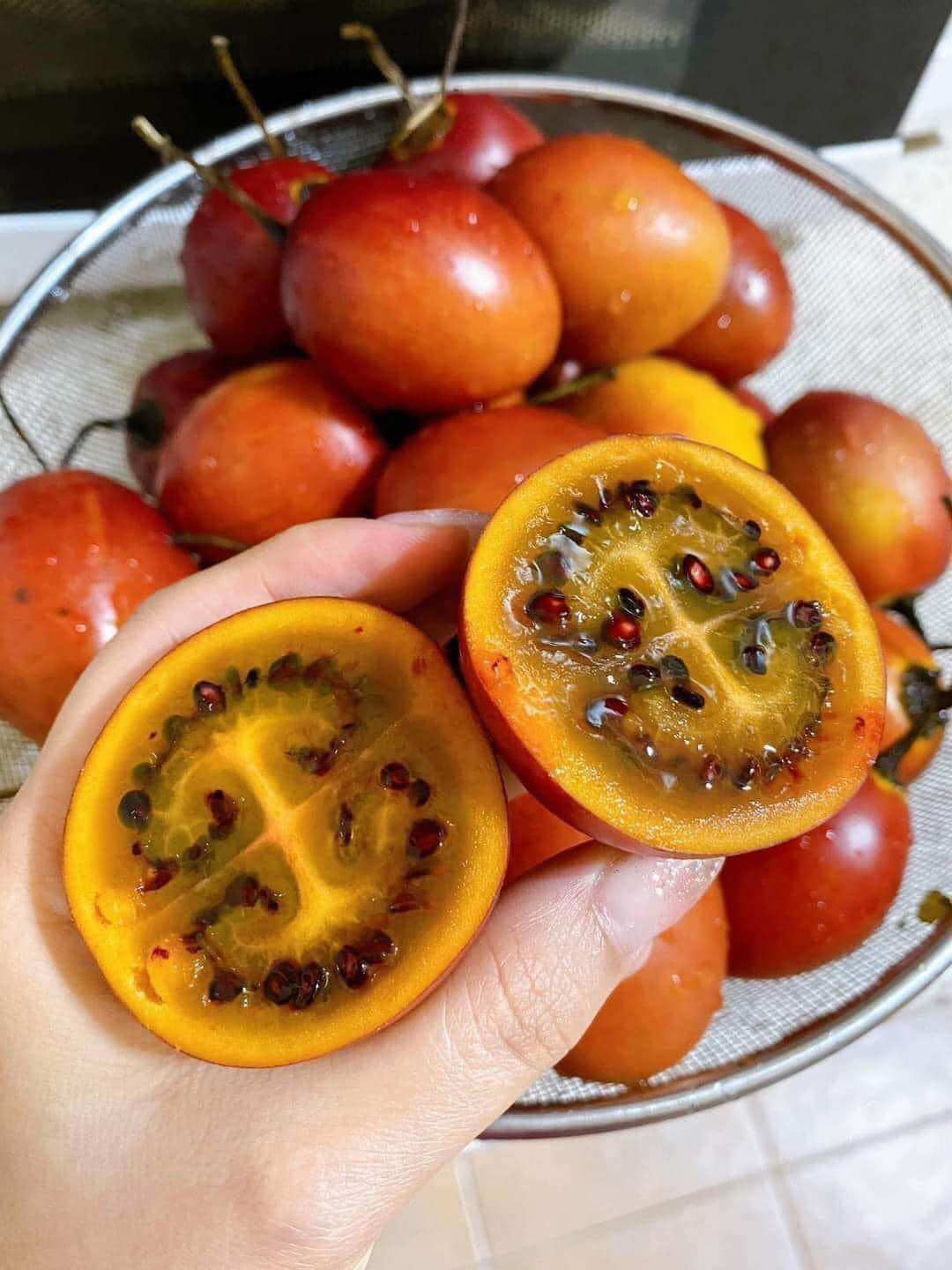 1KG CÀ CHUA THÂN GỖ