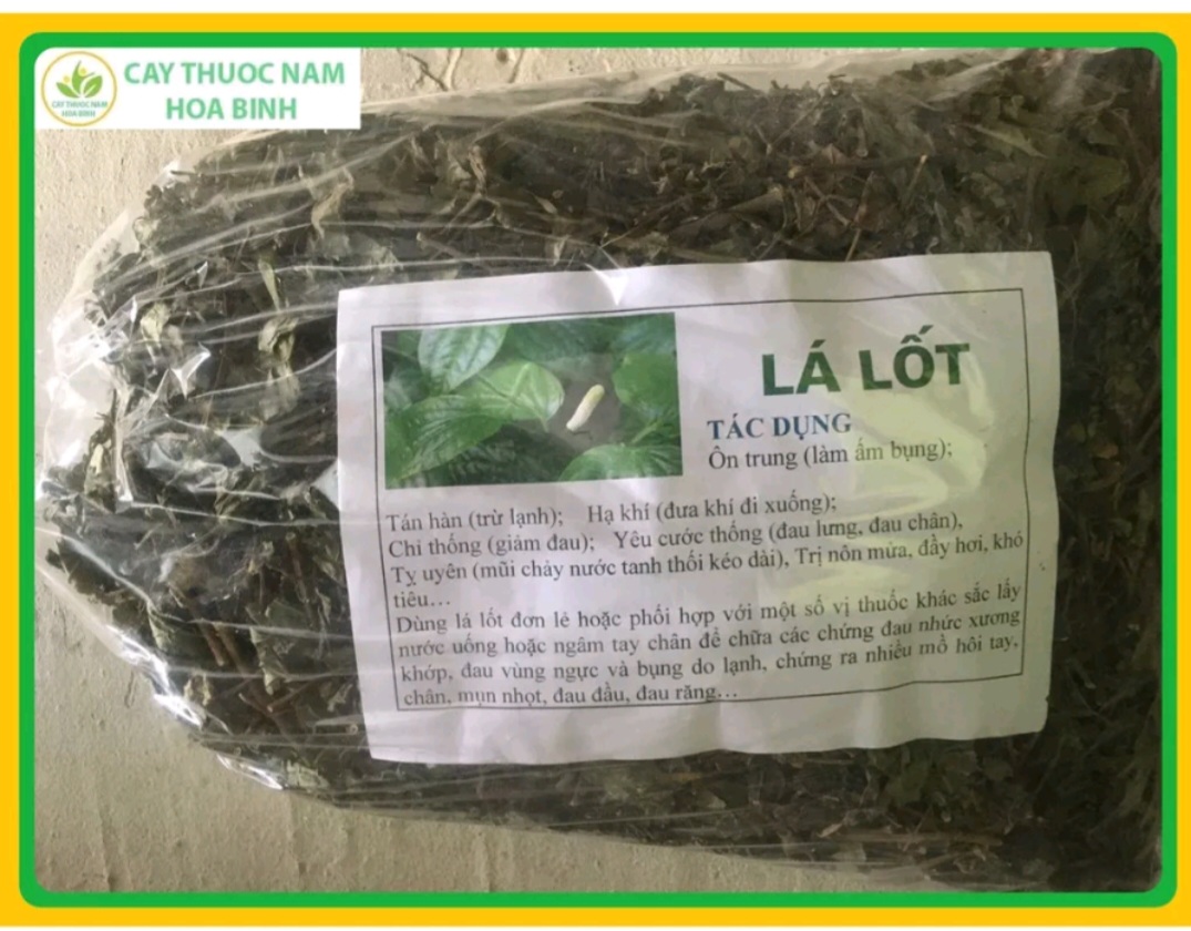1 ký lá lốt khô