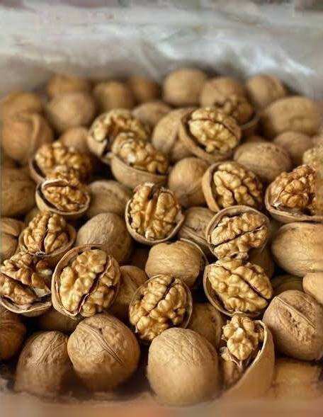 500G Hạt óc chó Mỹ còn vỏ