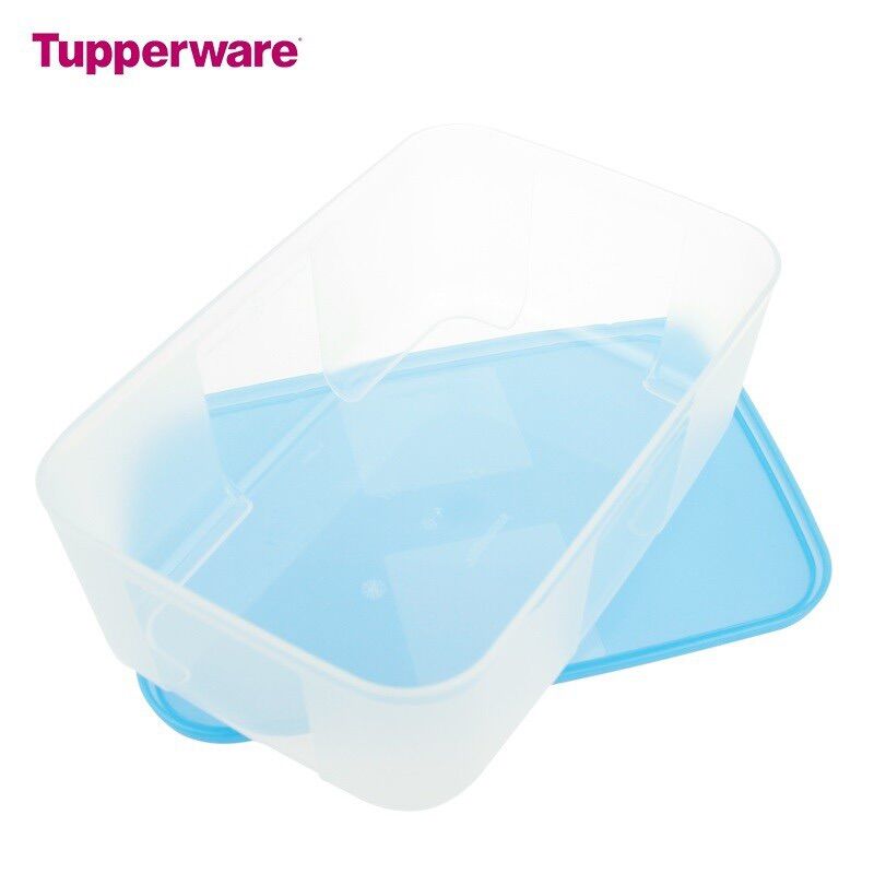 Hộp trữ đông Tupperware Medium Freezermate 1.7L