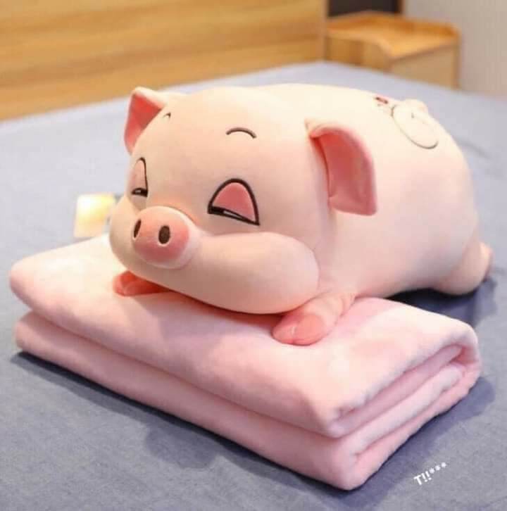 Gối Heo Kèm Chăn Nhung Nỉ To