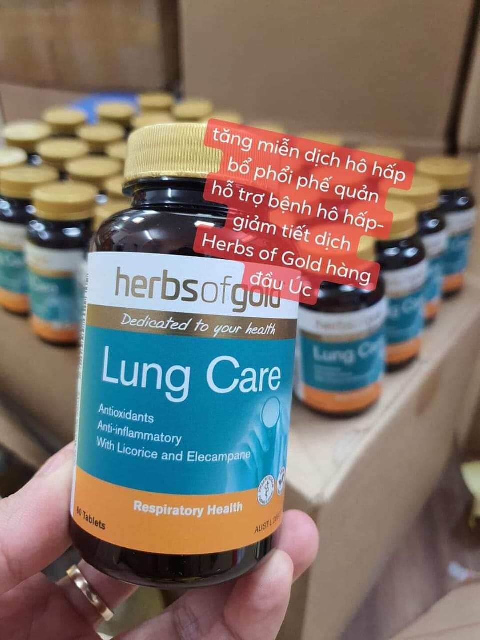 VIÊN UỐNG BỔ PHỔI LUNG CARE HERBS OF GOLD ÚC 60 VIÊN