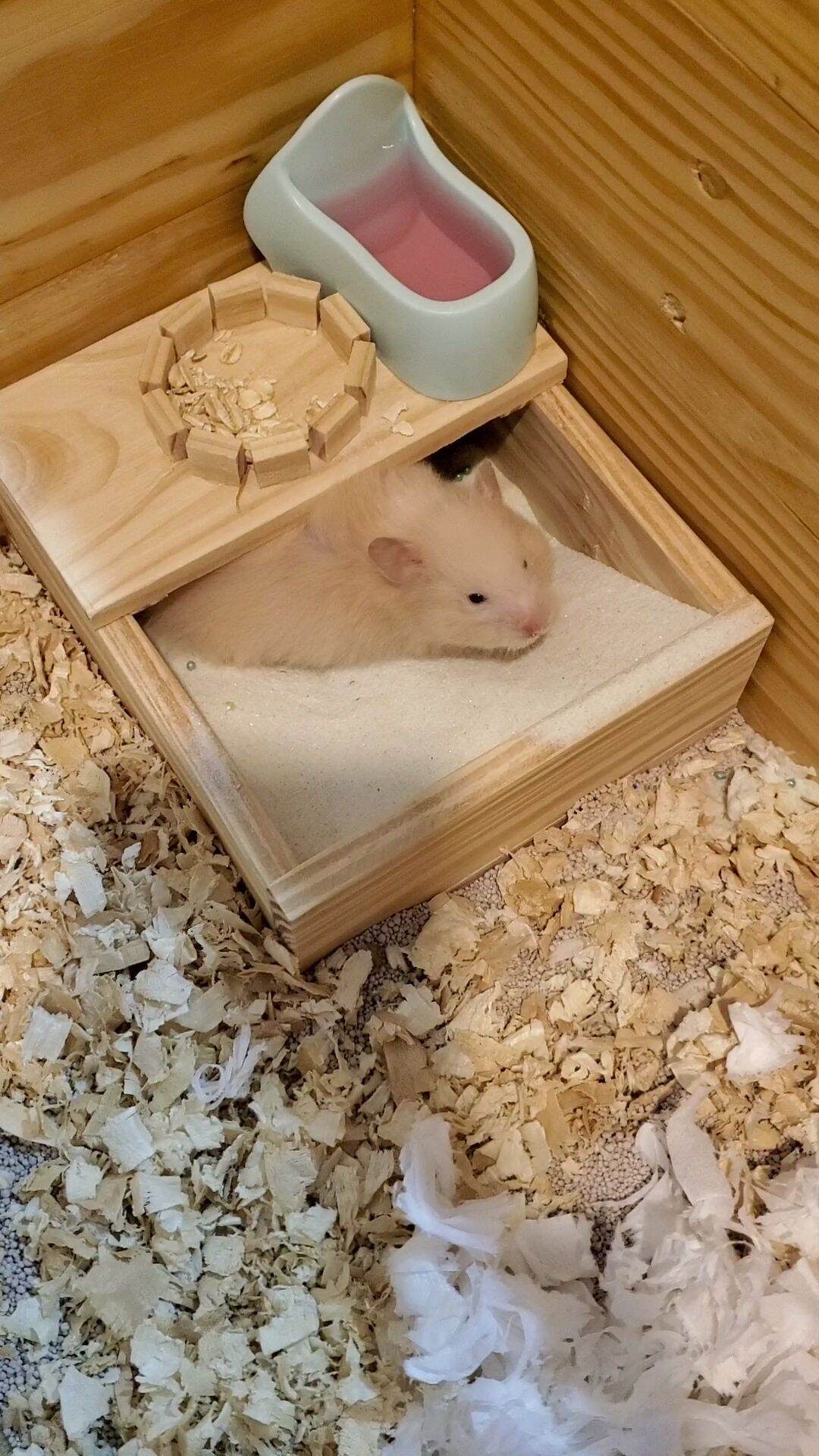 Bồn tắm gỗ thông cao cấp Hamster size nhỏ 158cm