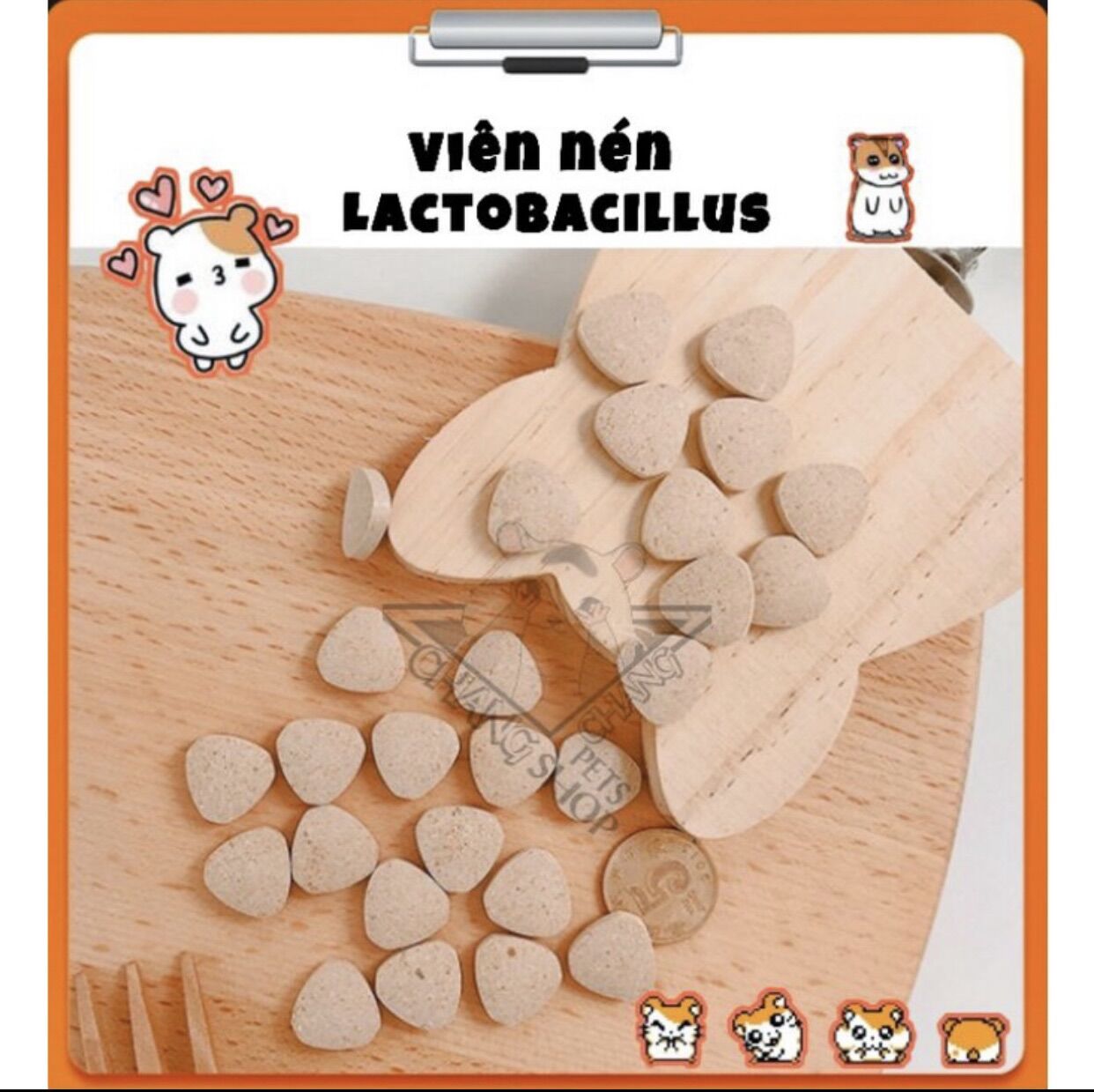 4 viên vitamin nén Lactobacillus dành cho hamster