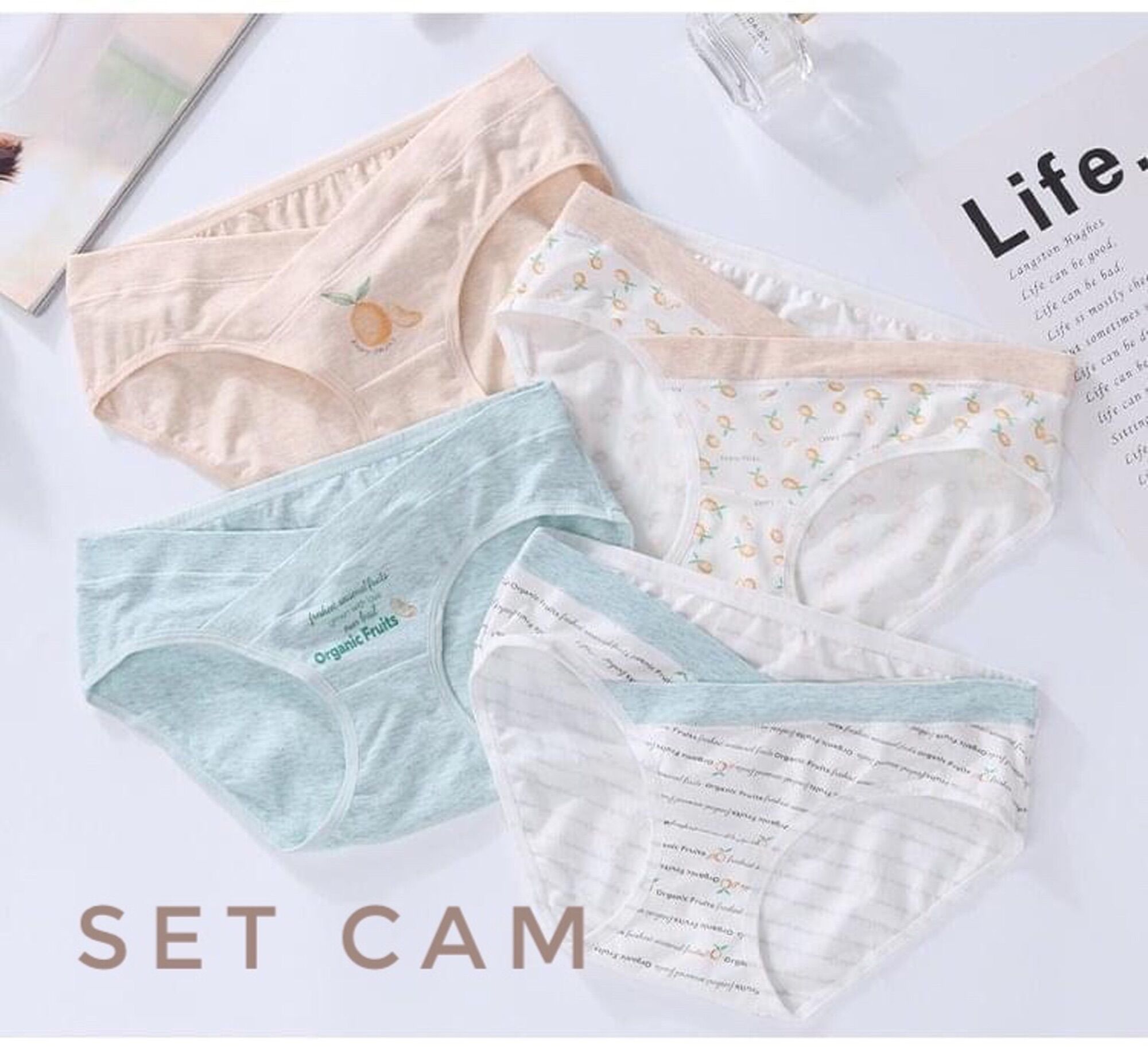 Set 4 quần chip bầu cạp chéo( Đủ size 40-83kg)