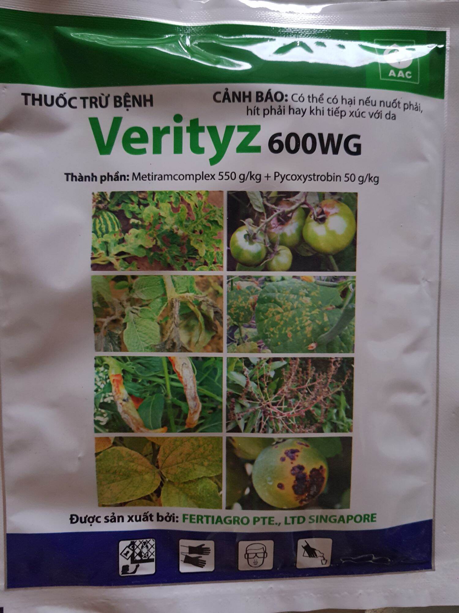 VERITYZ 600WG DIỆT TỨC THÌ NẤM GÂY HẠI SƯƠNG MAI, GIẢ SƯƠNG MAI, VÀNG LÁ, THÁN THƯ, ĐỐM LÁ, CHÁY BÌA LÁ, ĐEN THÂN, XÌ MỦ, NỨT CÀNH,