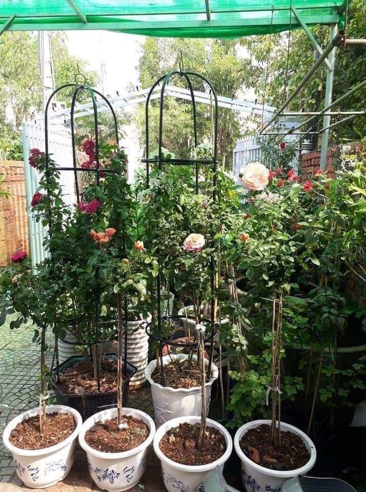 Khung Tháp trụ đỡ hoa leo cây cảnh