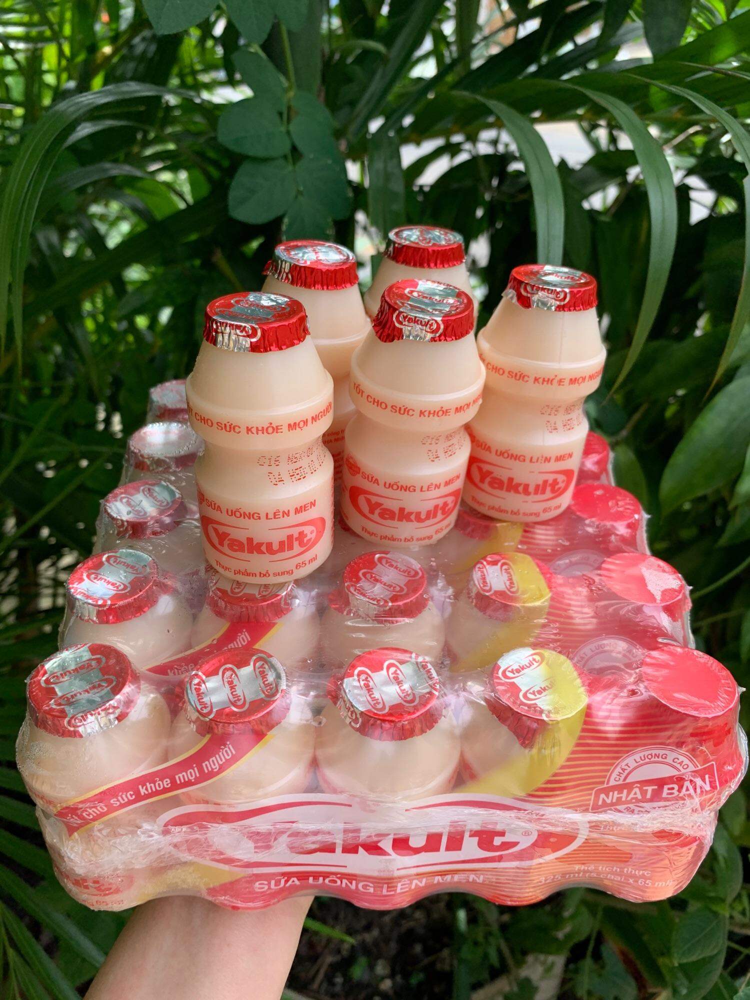 5 LỐC YAKULT HỖ TRỢ TIẺU HOÁ TĂNG SỨC ĐỀ KHÁNG MÙA DỊCH