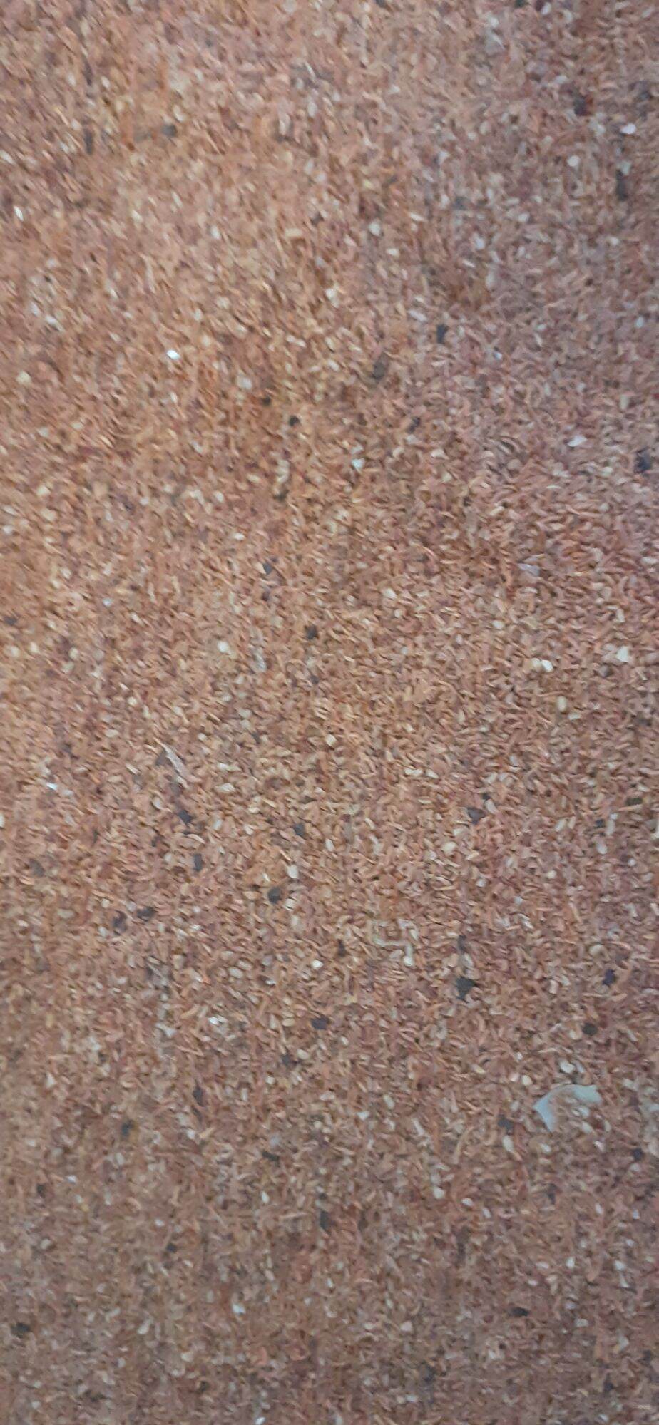100gram hạt bạch đàn trắng giống