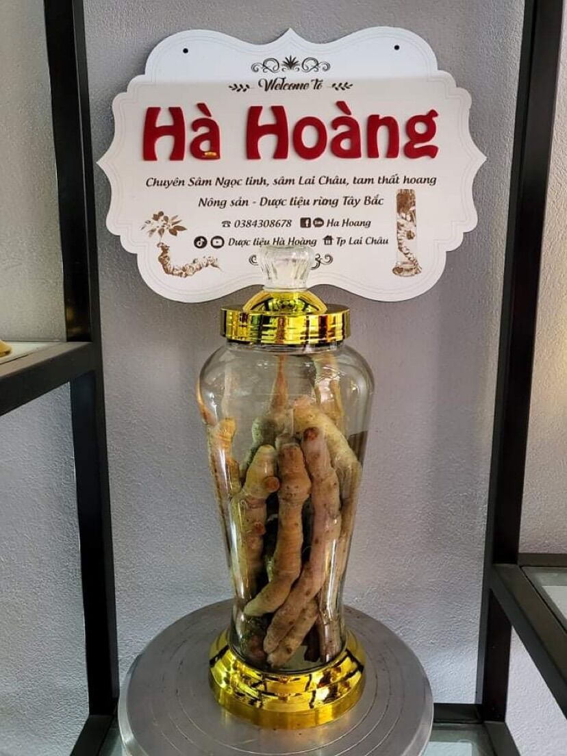 1kg rễ Tứn Khửn tươi (Lai Châu)