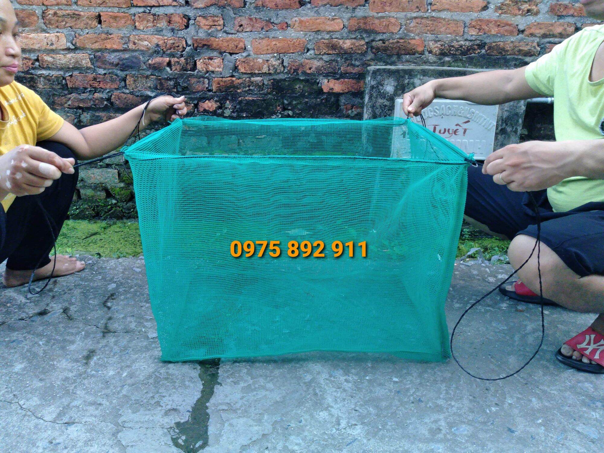 Lồng cá đẻ guppy 60cmx40cmx40cm