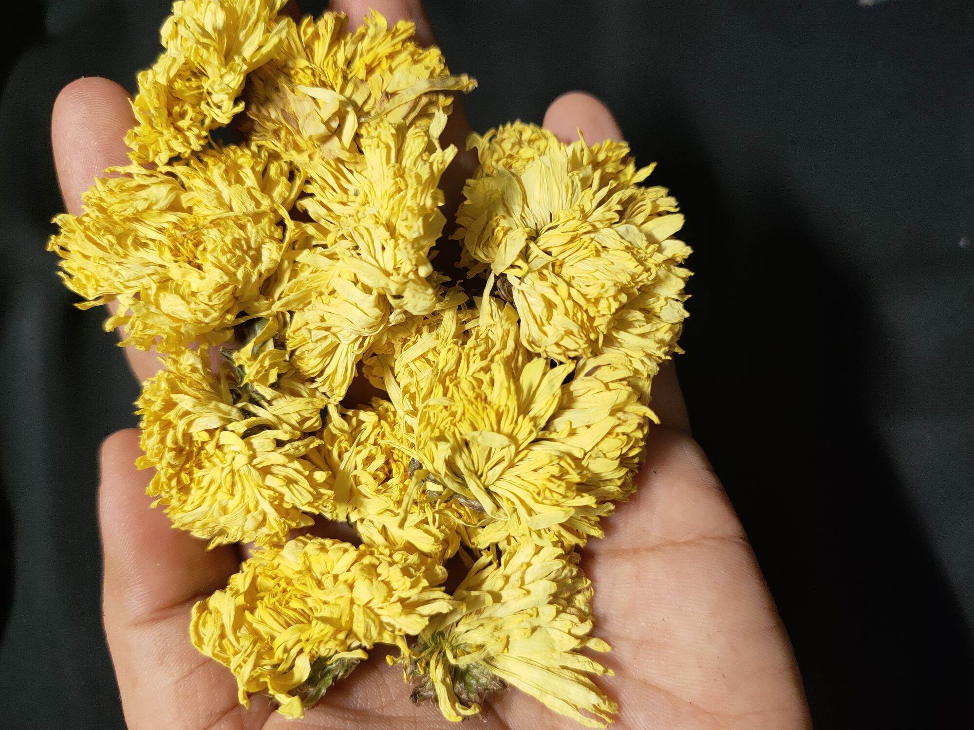 Trà Hoa Cúc Vàng Sấy Khô Loại 1( Thơm, Đẹp Như Hình )