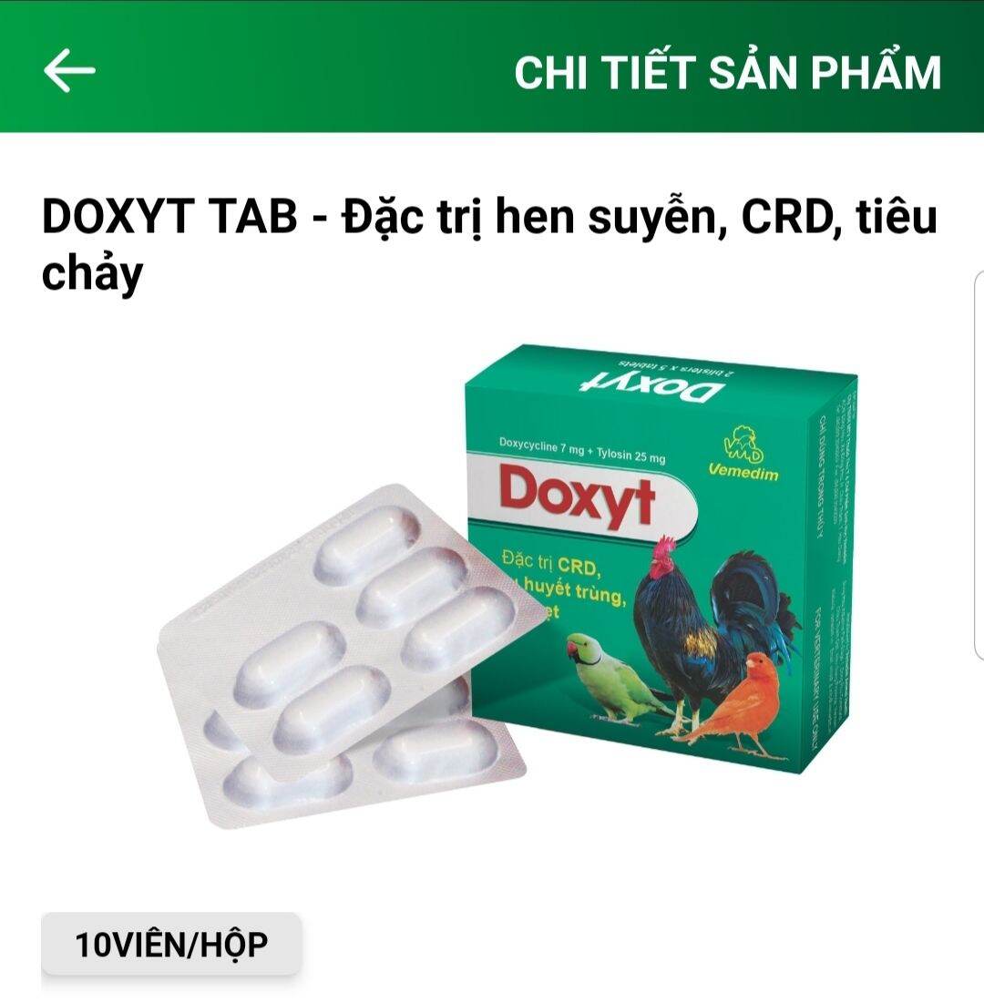 Doxyt 10v/h chuyên dùng cho gà đá (combo 5 hộp)