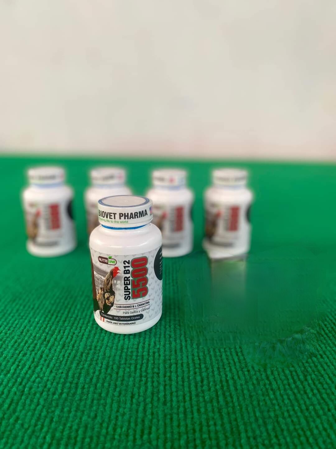 Super B12-5500 hừng gà tốt cho gà