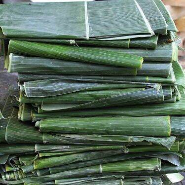Lá chuối tươi gói bánh