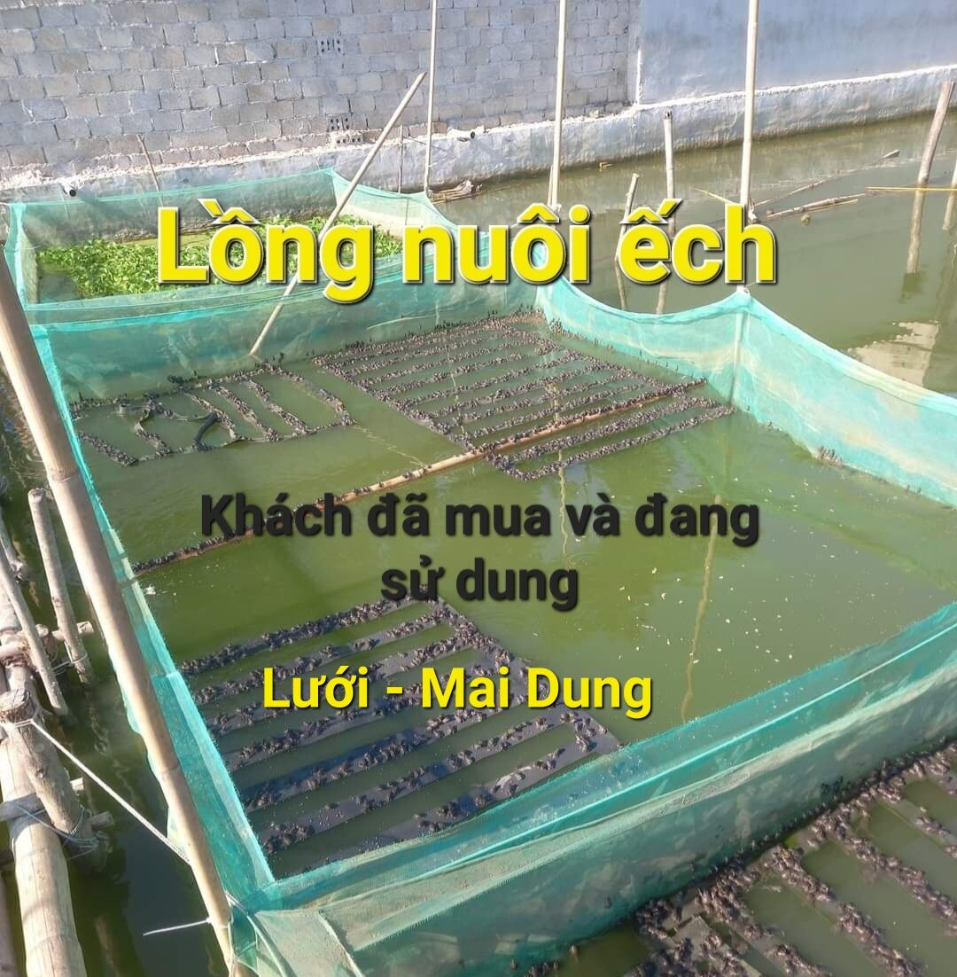 Lồng nuôi ếch, vèo lưới nuôi ốc ếch cá