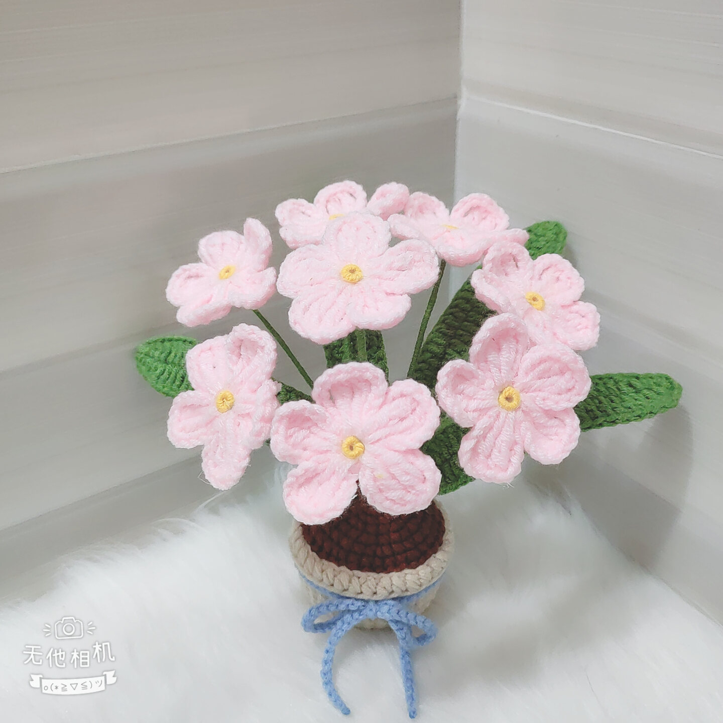 [Ảnh thật - Có sẵn] Chậu hoa lưu ly để bàn bằng len handmade