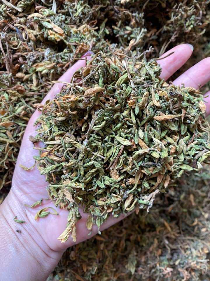 Hoa đu đủ đực khô 1kg