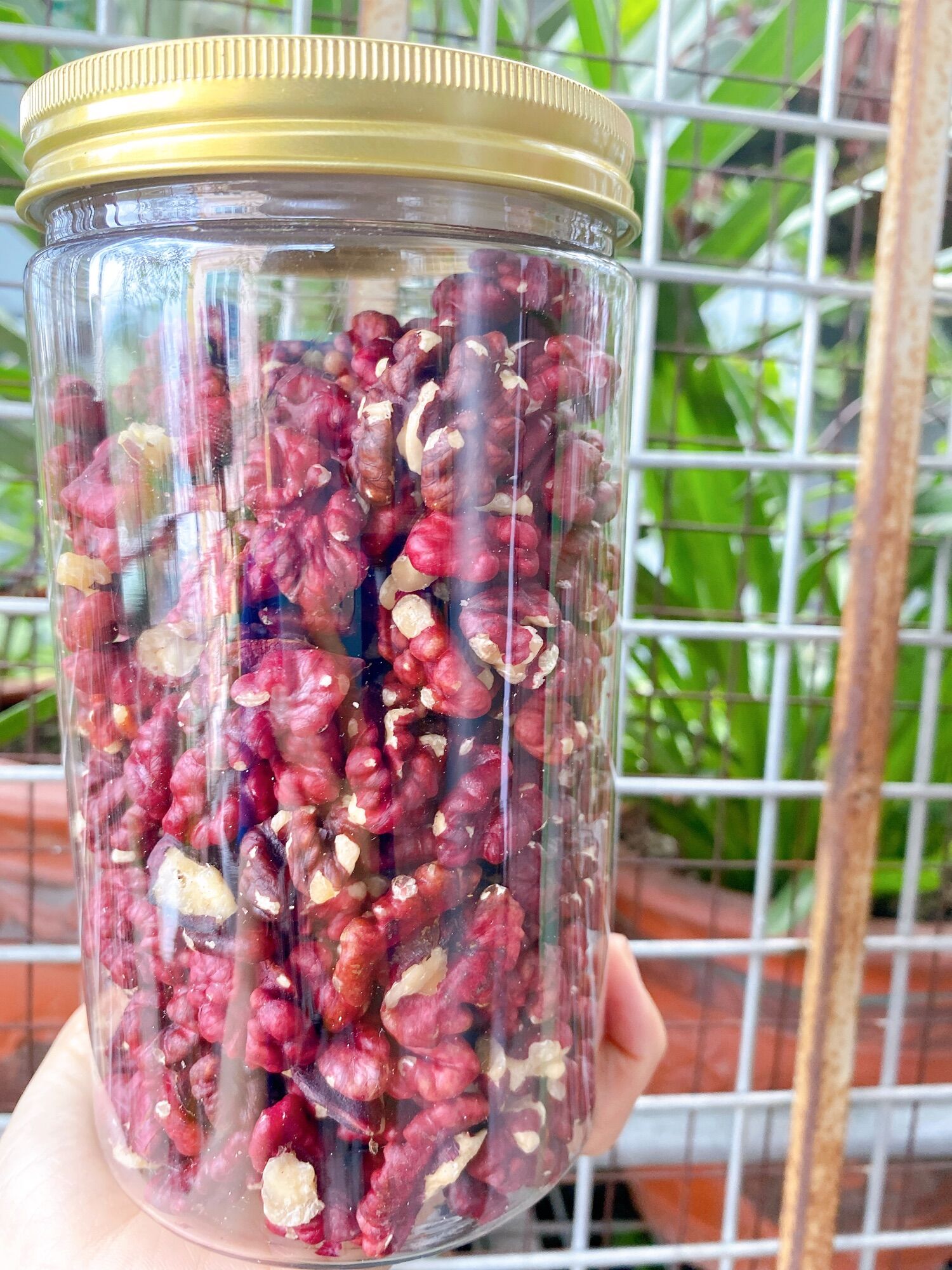 Óc chó đỏ mỹ 500gr hạt chưa rang