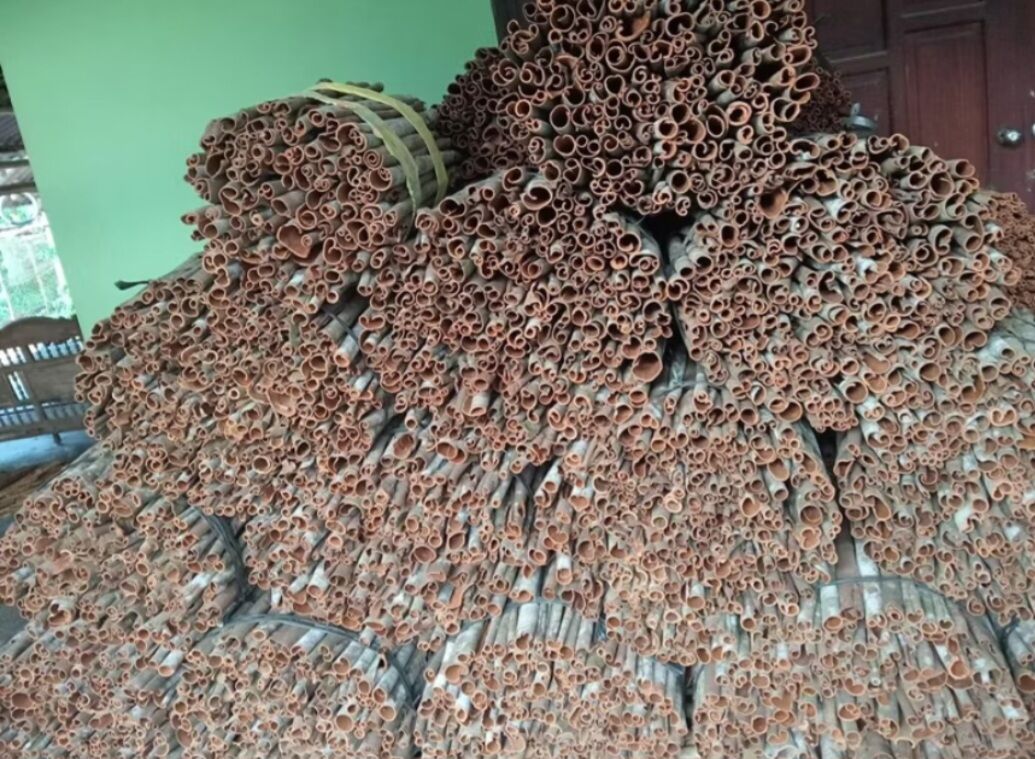 100 Gram Quế Vụn, thơm sạch, quế làm trà, quế xông nhà