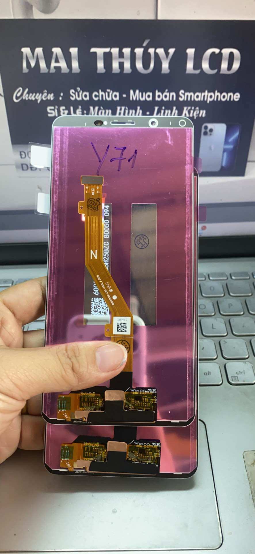Màn vivo y71