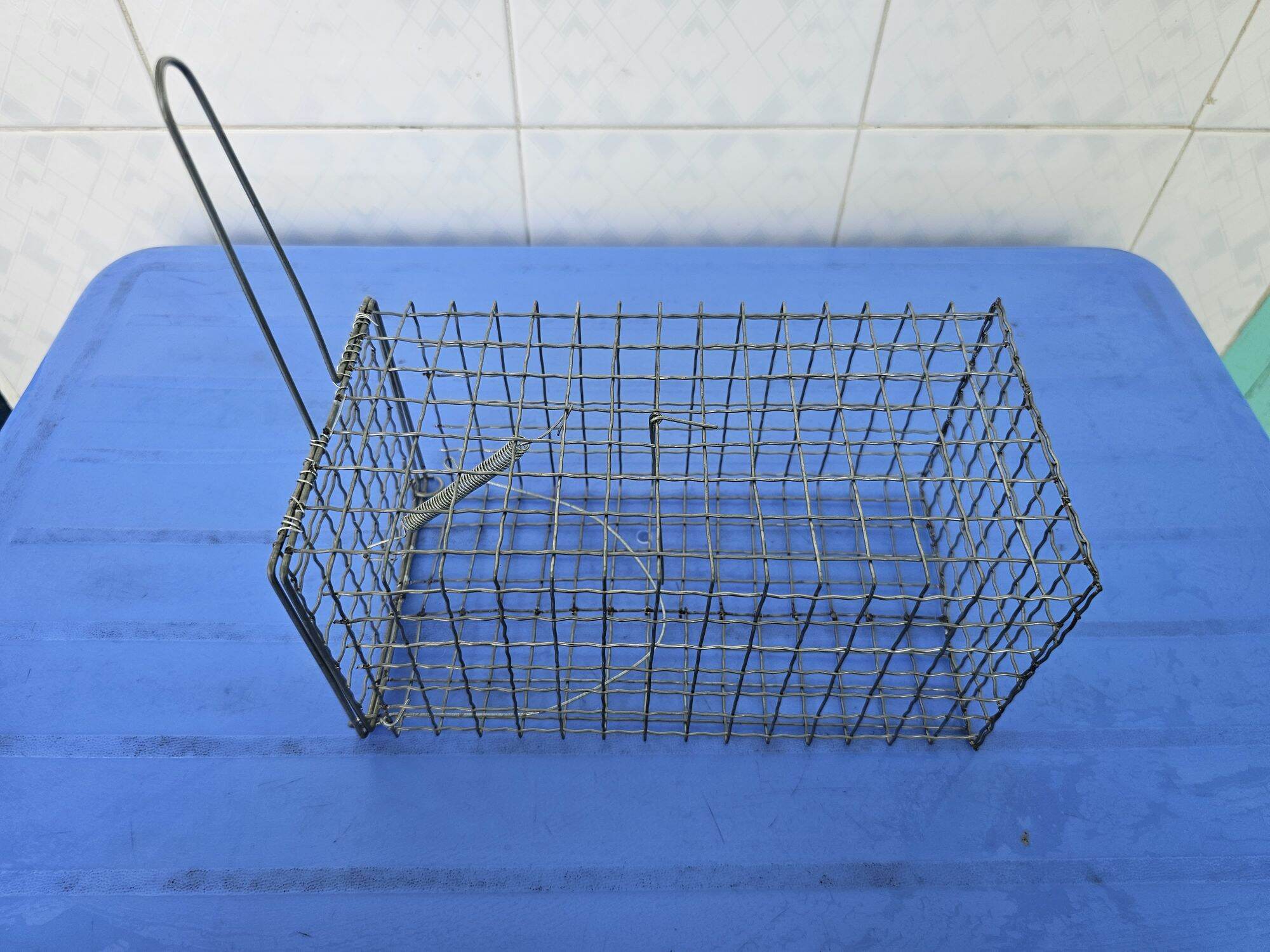 Lồng bẫy chuột siêu nhạy có phen gài combo2 cái