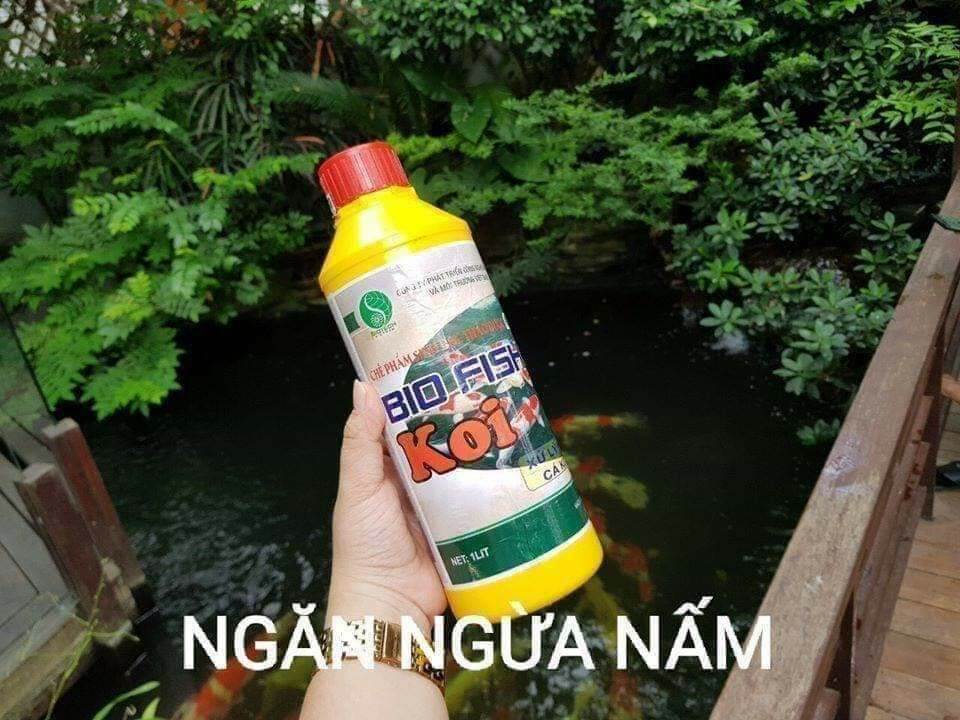 VI SINH BIO FISH KOI (  BÌNH  1 LÍT )